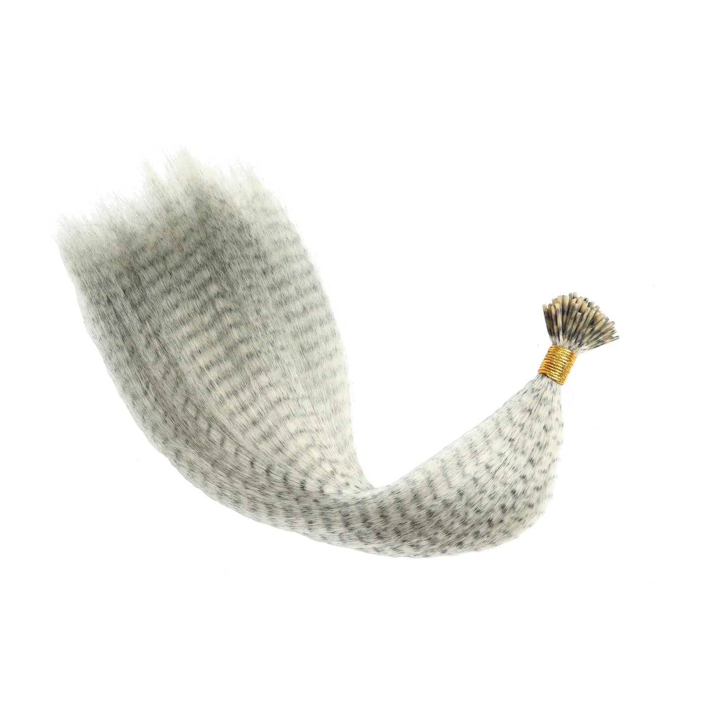 Feather Extension Colorate – Ciocche Effetto Piuma Zebra